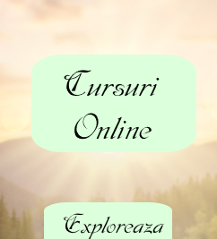 Cursuri online