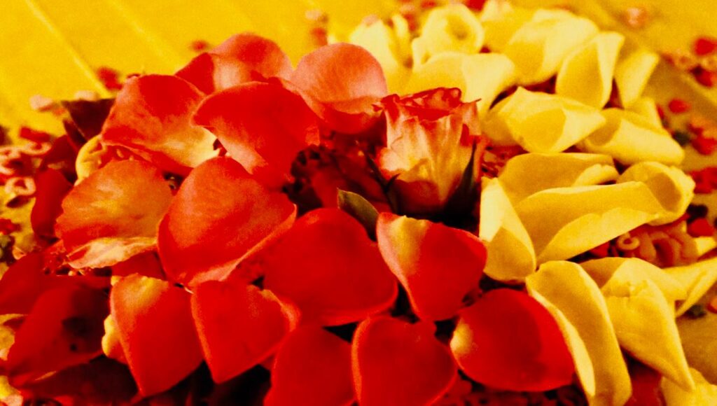 27709477_10216023877928427_283031736573547133_o